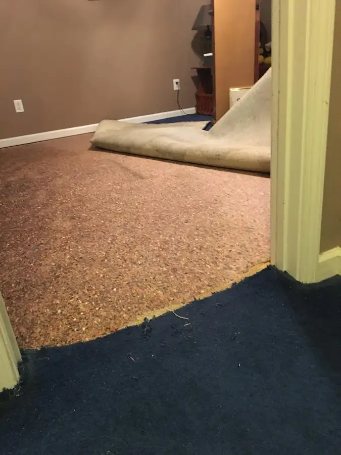 Carpet pad removal revealing water damage during Drying & Dehumidification in Wapakoneta