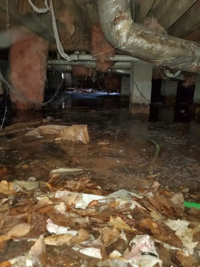 Crawl space flood assessment for Leak Detection & Repair in Wapakoneta