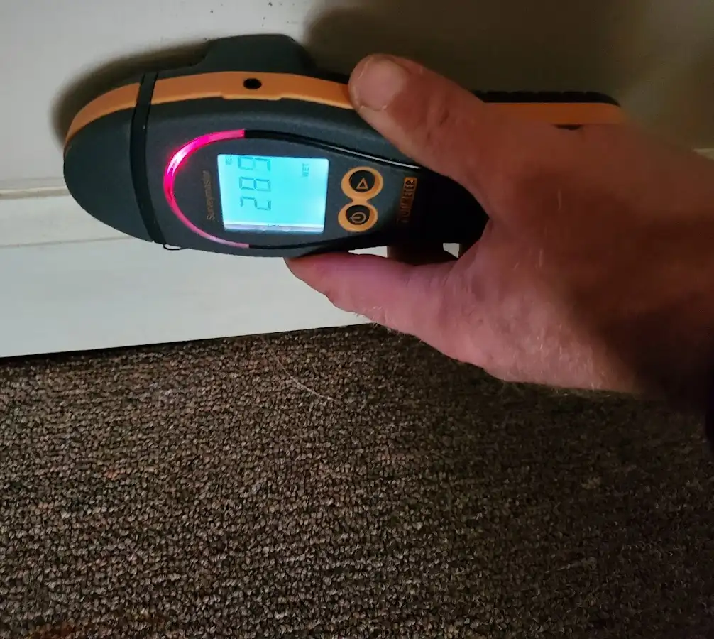 Moisture detection at baseboard during Sewage Cleanup & Sanitation in Wapakoneta